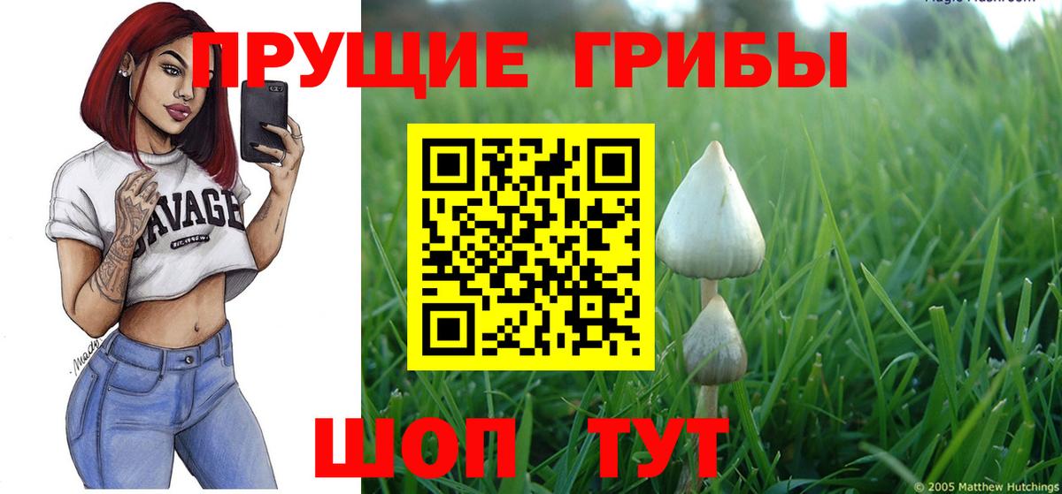 Тверь  наркошоп  Вход с VPN  Псилоцибиновые грибы мухоморы 